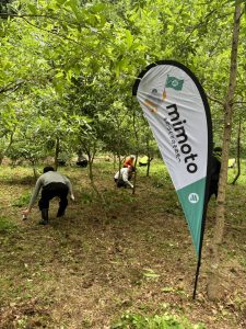 KES　森づくり活動